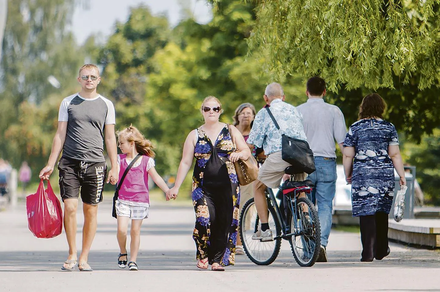 Jalgrattarahvas kiidab viimastel aastatel linna ja lähimaale ehitatud kergliiklusteid, kuid nüüd on kätte jõudnud aeg sealgi liiklust reguleerima hakata, et ratturid, jalutajad, rulatajad, kepikõndijad ning lapsevankritega emadki turvaliselt liikuma mahuksid. Järelvalveta koertel ei tohiks seal aga kohta olla.
