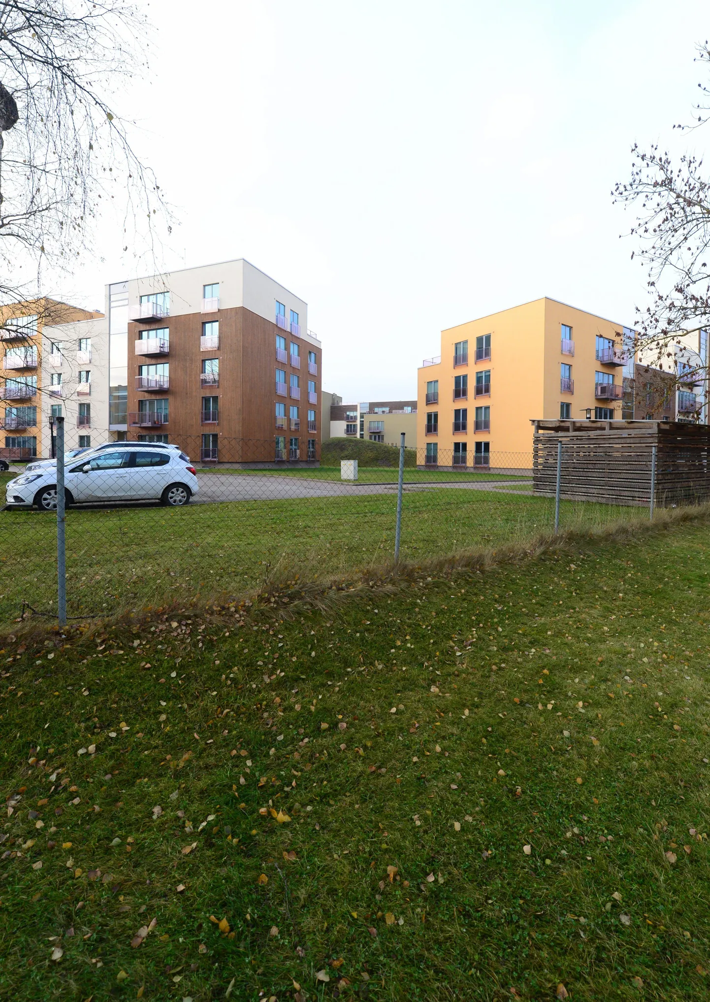 Ühe asumina, kus ühistuid on loodud väga vähe, tõi Eesti korteriühistute liit välja Tartus Tulbi tänavas asuva kortermajade rühma. Uuest aastast loob riik neile ühistud, mida elanikel tuleb endil hakata juhtima.