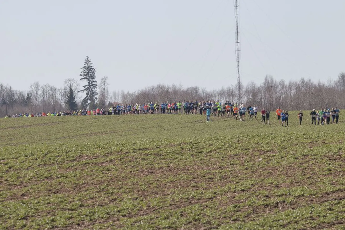 Katkematus rivis üle põldude. Säärane vaatepilt avanes järve vastaskaldal, kus joosta tuleb üle mitme põllu. Pidev voor kestis ligi tund aega.