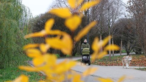 Lāčplēša dienā saglabāsies apmākušās debesis