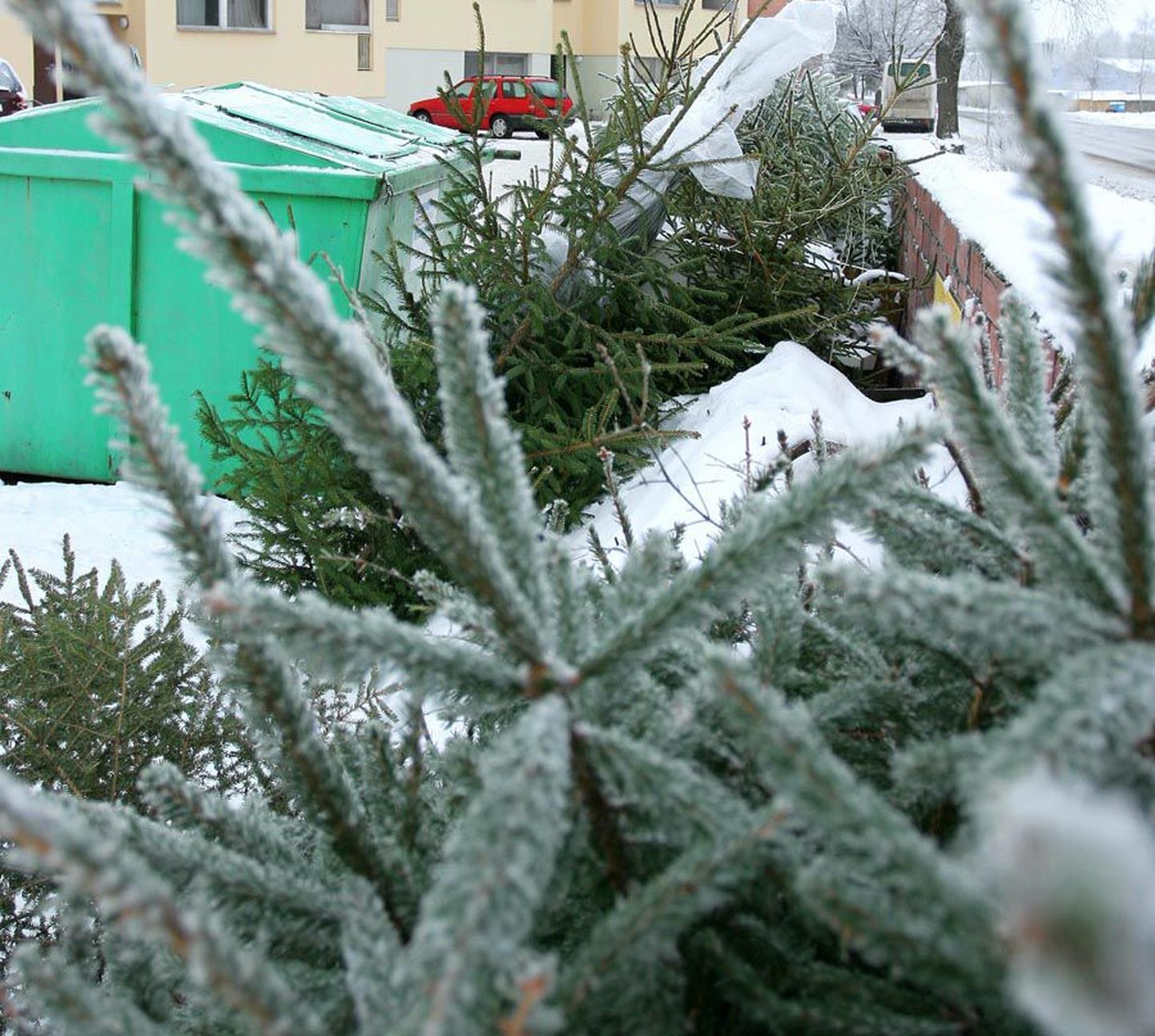 Viljandi linnas kogutakse kodused jõulupuud kokku 6. jaanuaril.