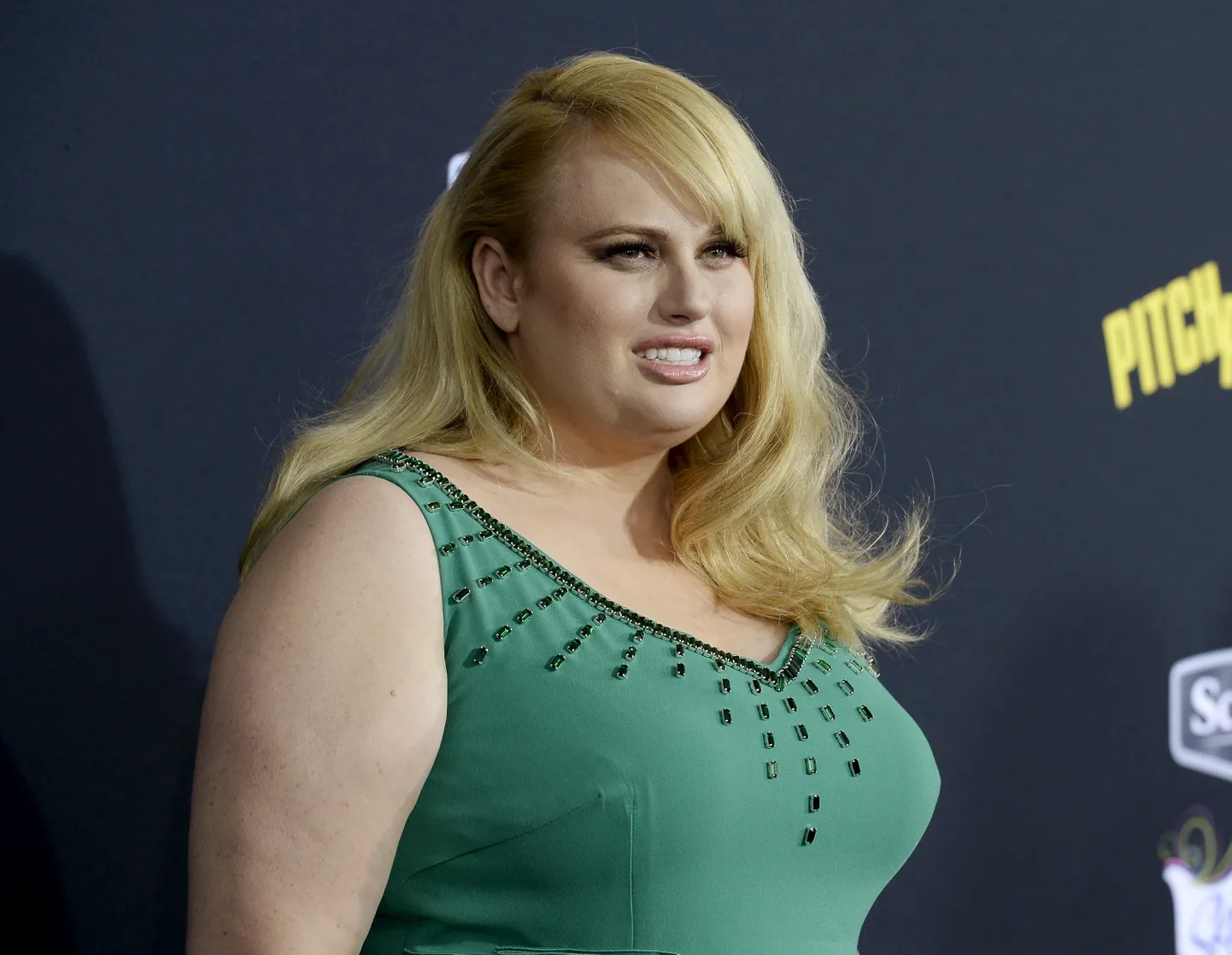 Rebel Wilson 2015. aastal.