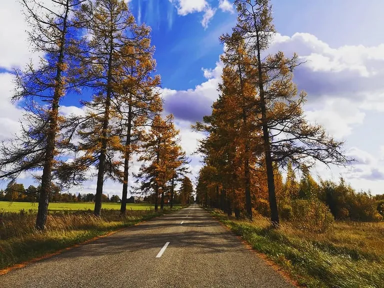 Raksta foto