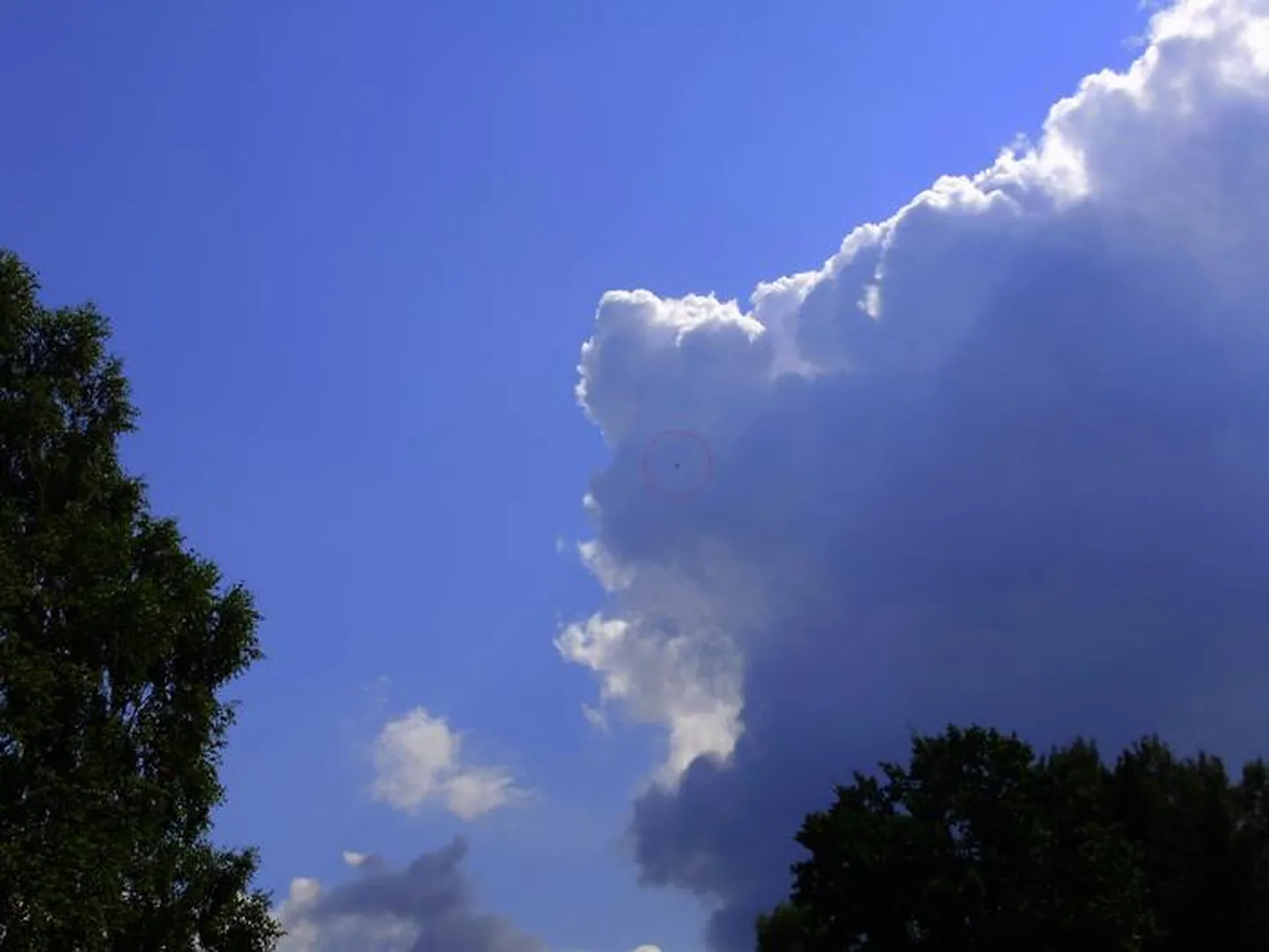 Raksta foto