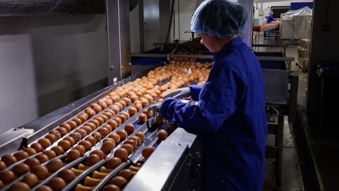 PVD atklāj, ka "Alūksnes putnu ferma" apzināti melo pircējiem par savu produkciju