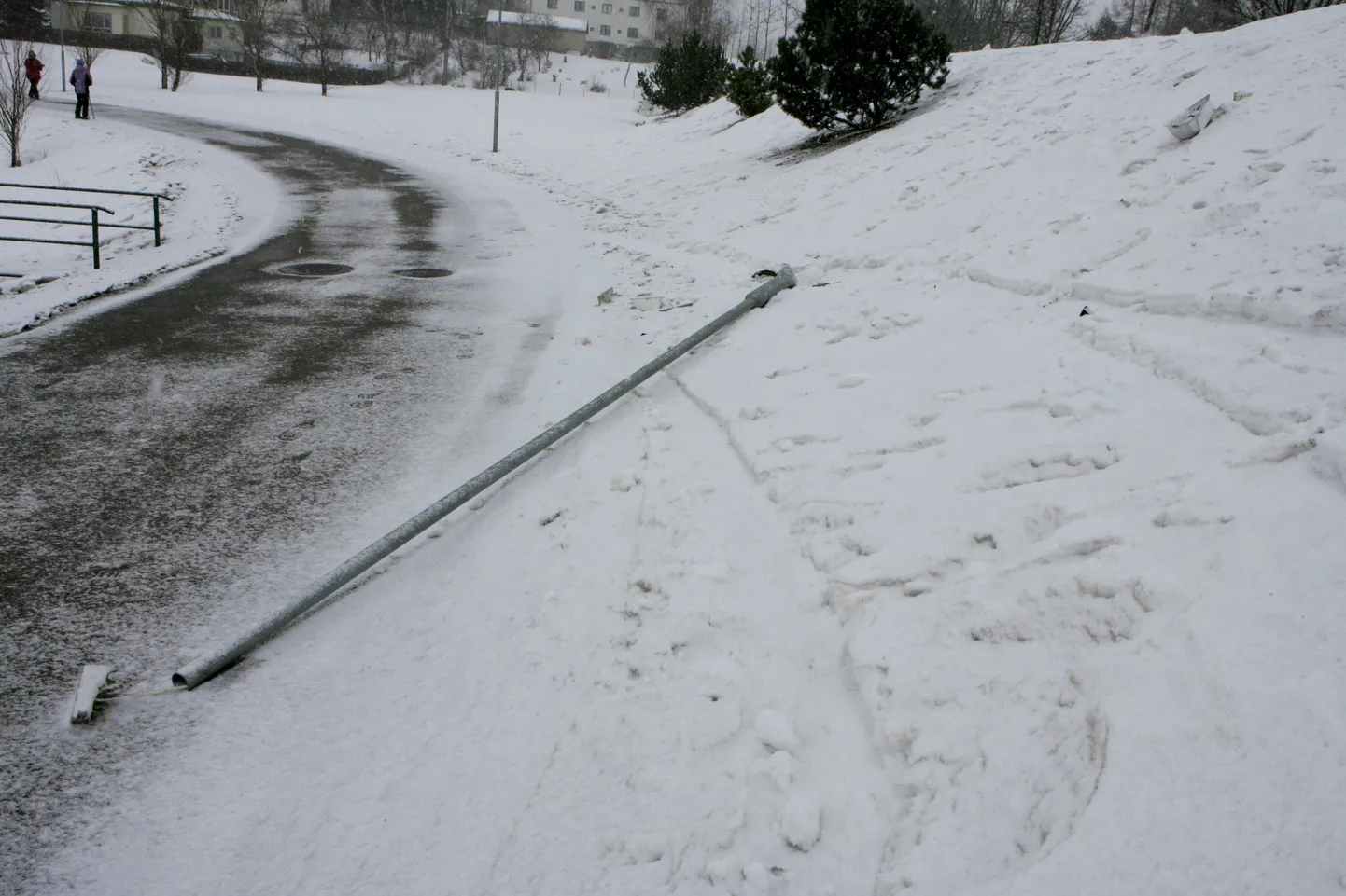 Katkine laternapost vedeles täna lõuna ajal Paala järve ääres.