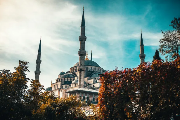 Artikli foto
