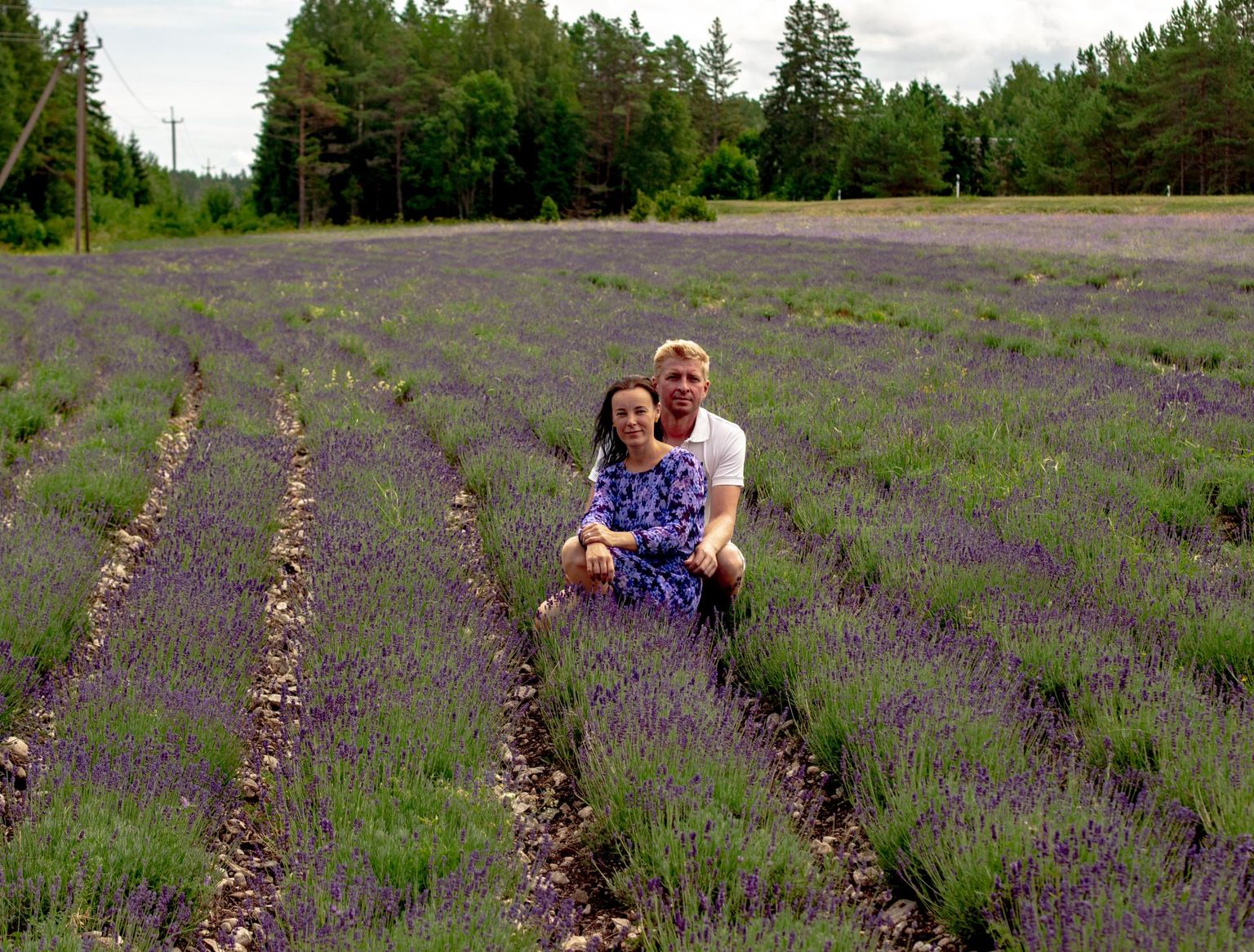 Birthe ja Taavi Liivandi põllul kasvab lavendel kolmandat aastat.