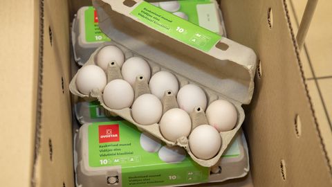 Salmonelloos levib Euroopas: kas Eestil on põhjust muretsemiseks?