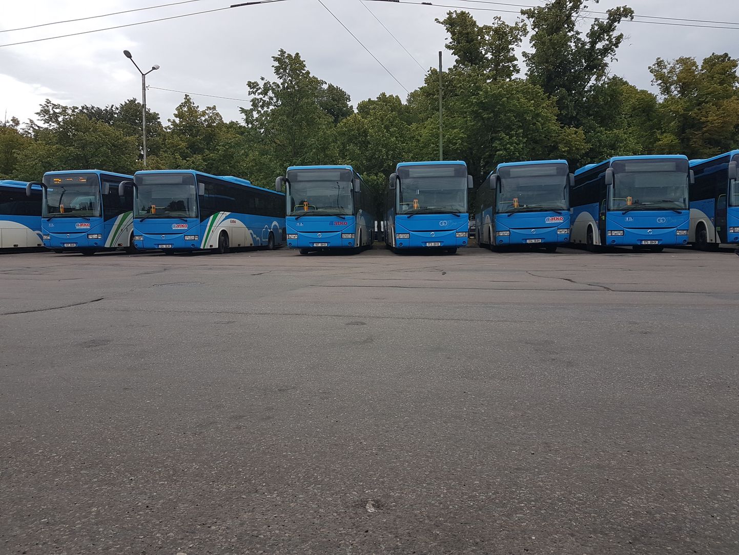 Рейсовые автобусы на Балтийском вокзале Таллинна