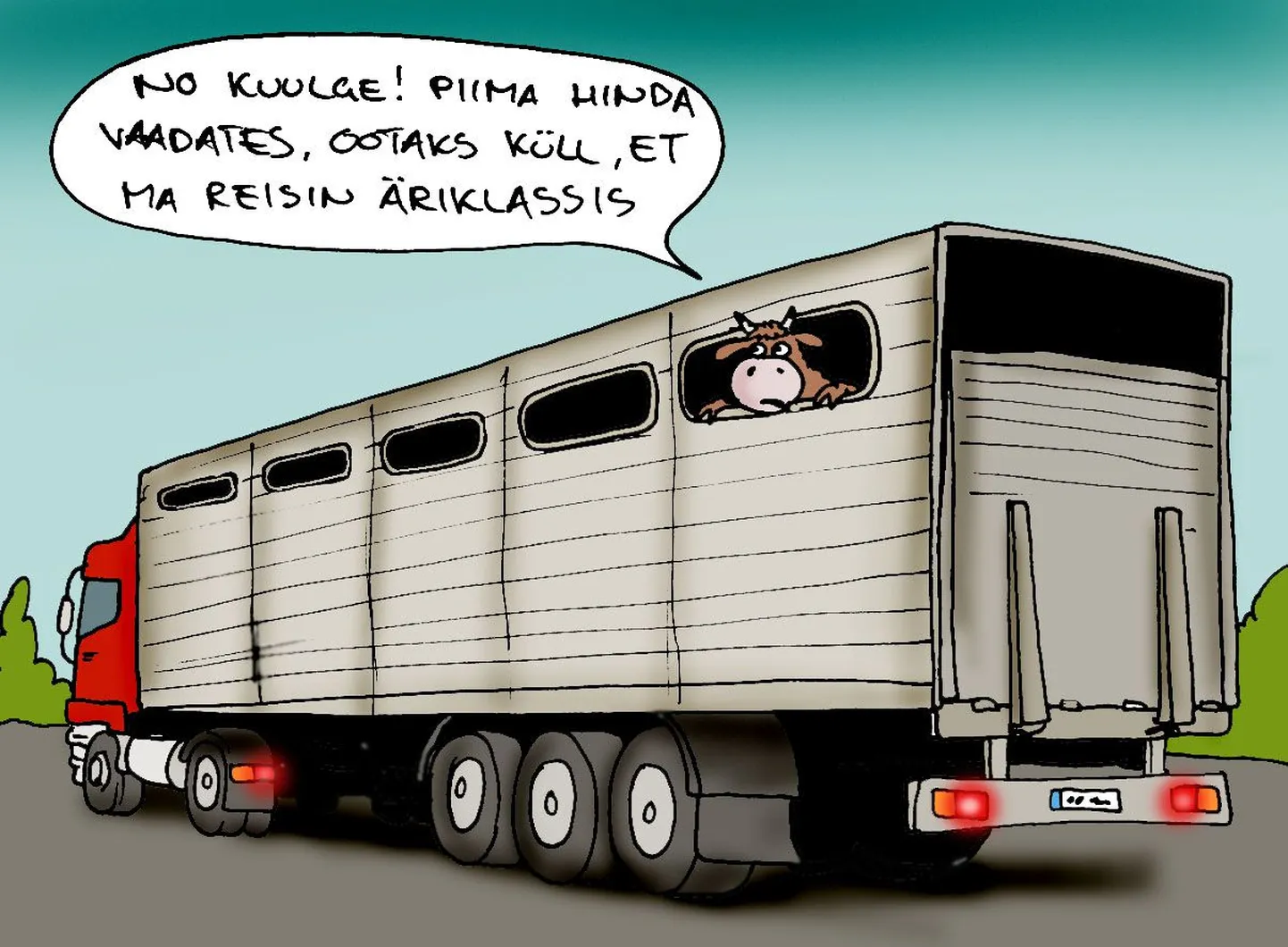 Artikli foto