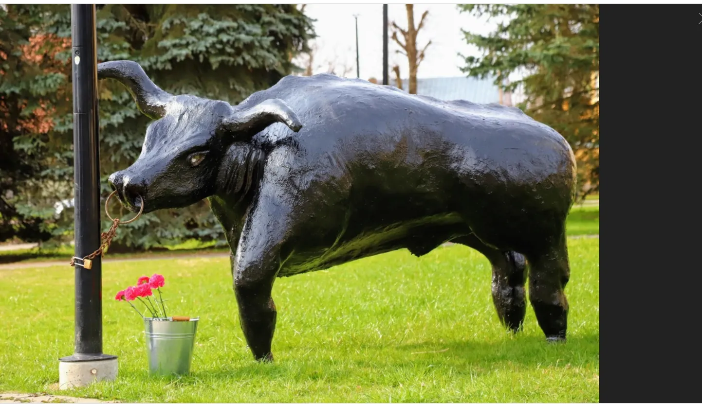 Утром 30 апреля в парке рядом с городской управой Вильянди стоял бык с гвоздиками в ведре.
