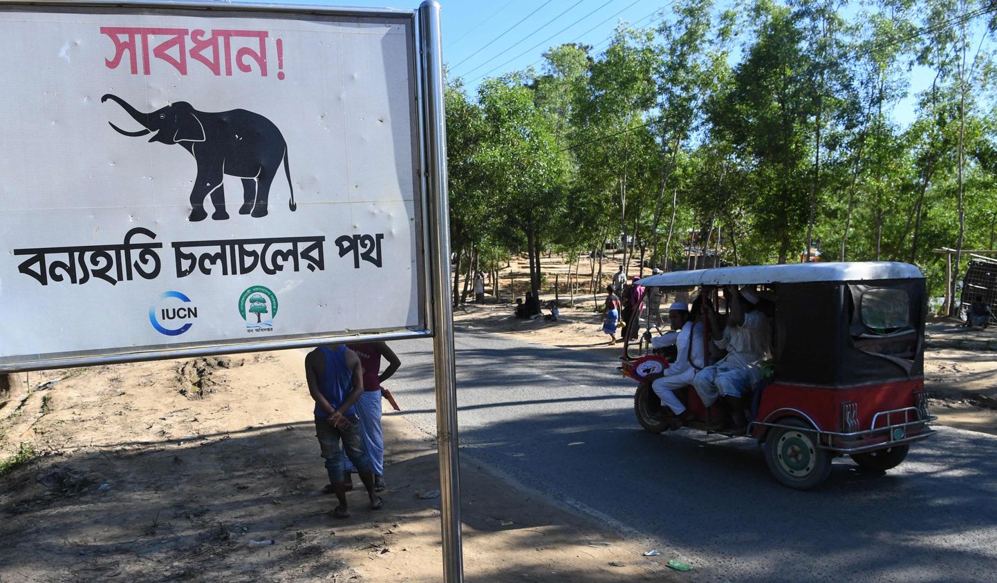 Metsikute elevantide kulgemisteed märkiv hoiatussilt Balukhalis.