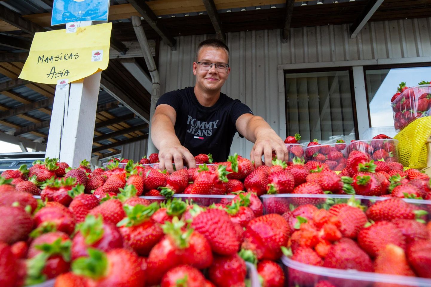 Raigo Rebase tõi avaturule maasikaid Vasulast
