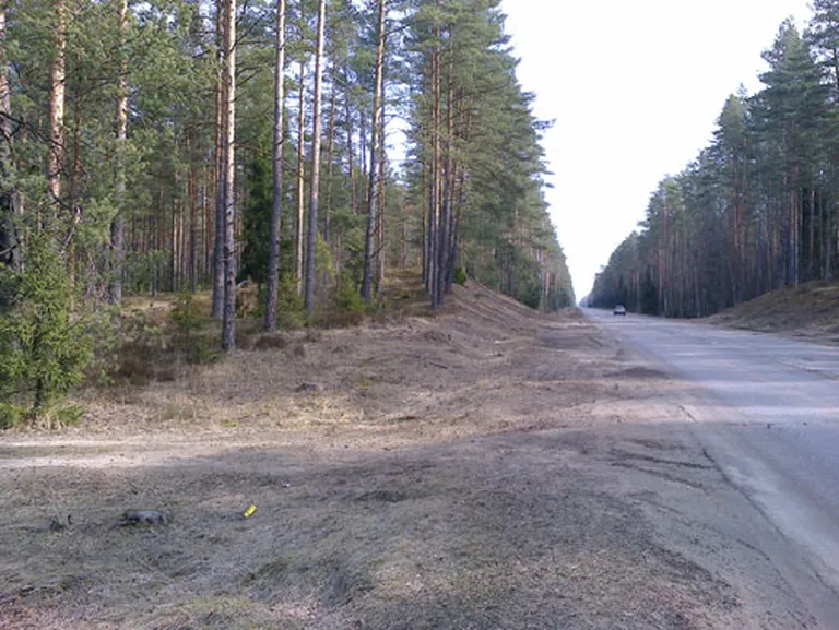 Raksta foto