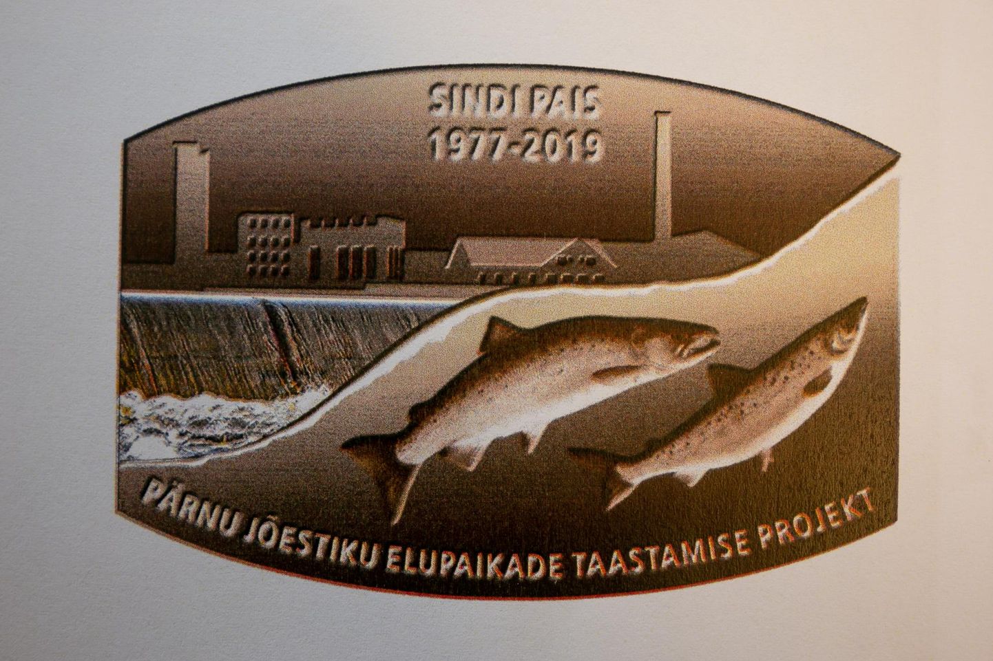 Riho Luuse kavandatud medali esiküljel on vana kalevivabriku siluett ja kalade vaba liikumist sümboliseerivad kaks lõhet.