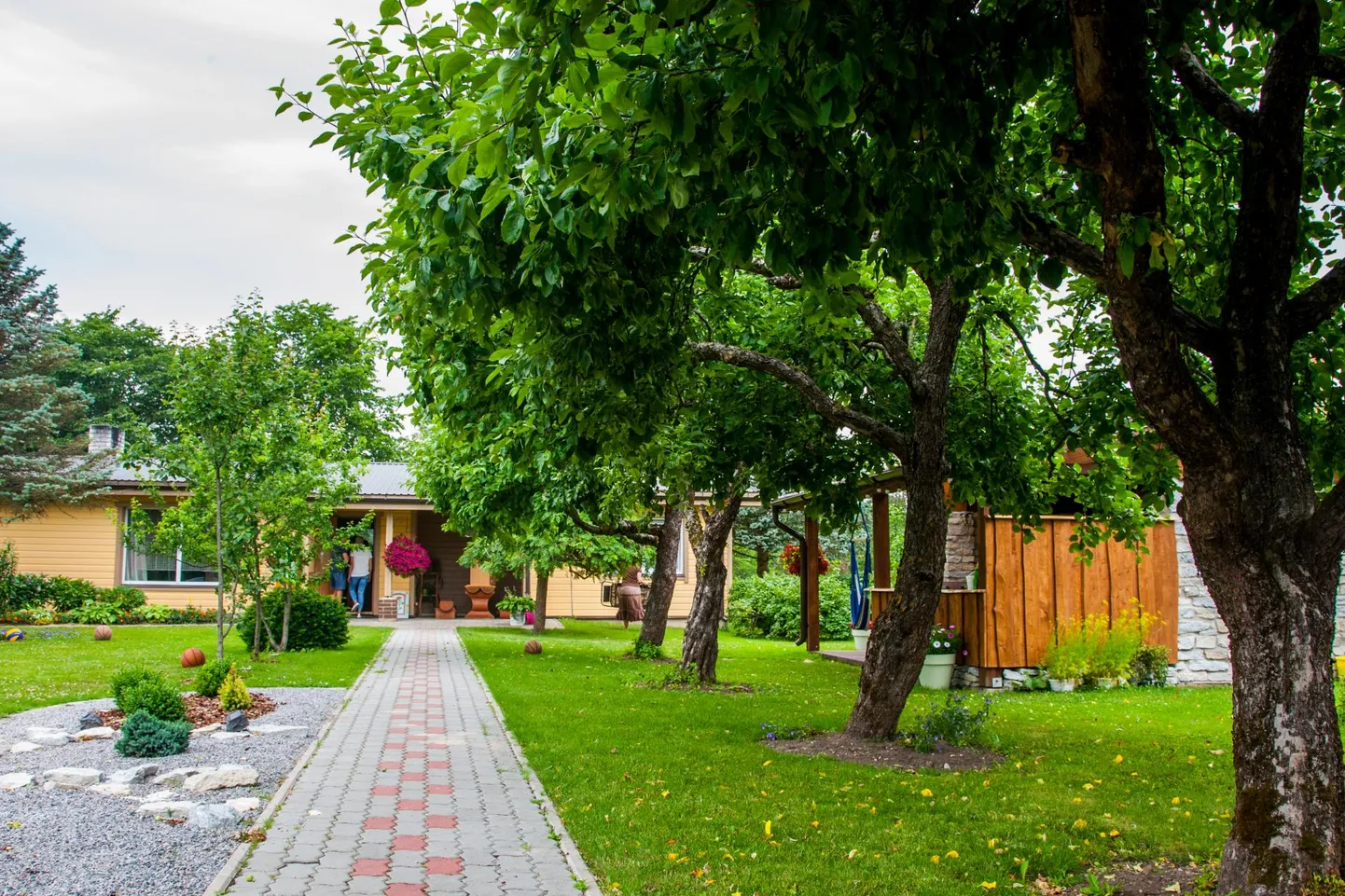 Mullu avatud olnud Rätsepa kodukohvik.