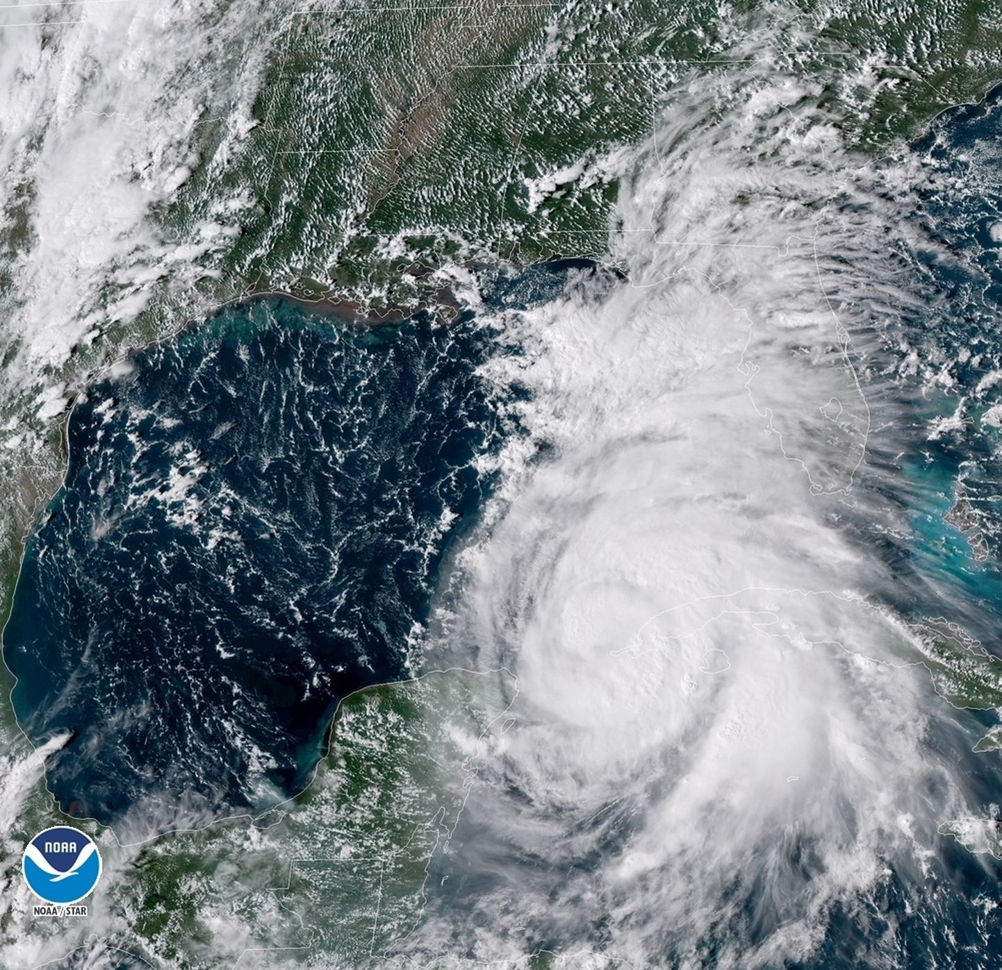 Orkaan Michael jõudis Florida rannikule.