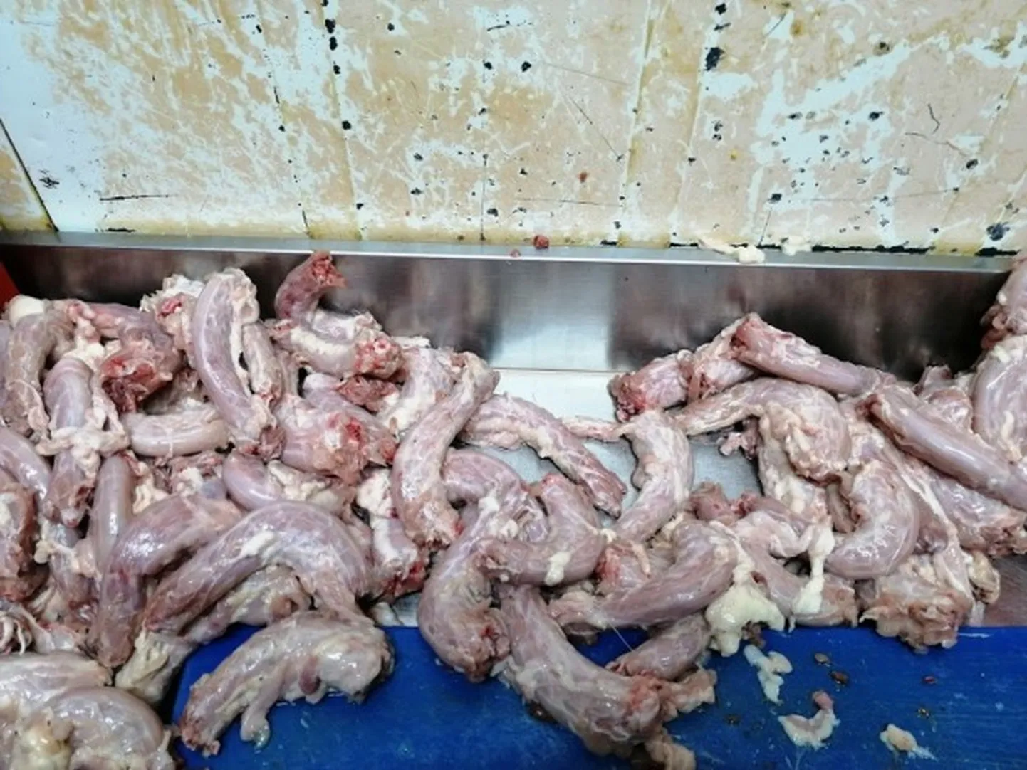 Изъятое мясо.