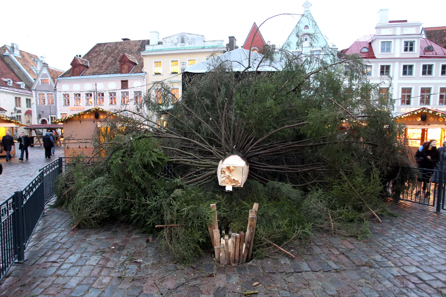 Tänavune pealinna esijõulupuu on juba kaks korda ümber kukkunud.