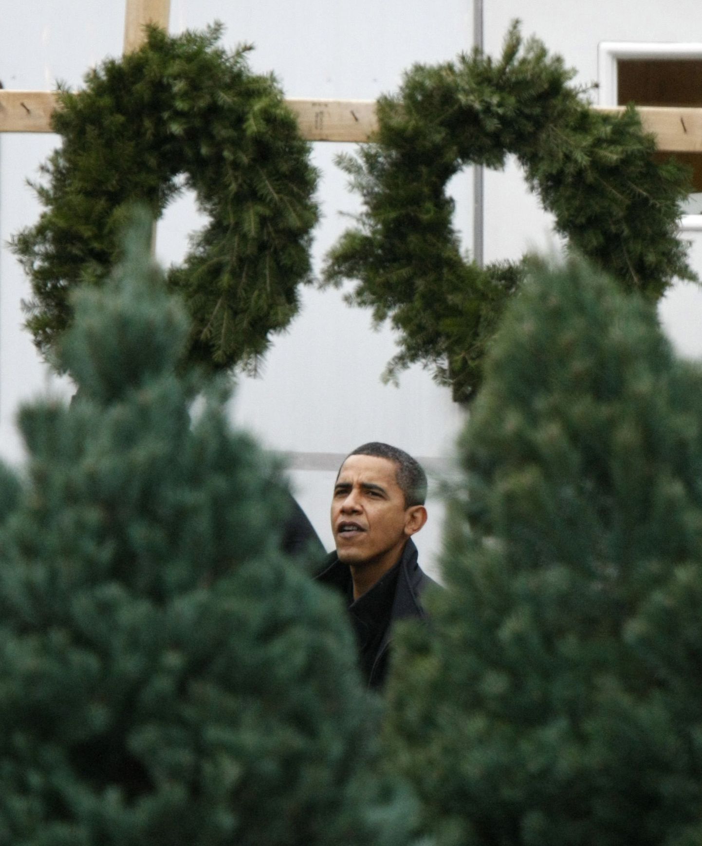 ** RETRANSMISSION FOR ALTERNATE CROP ** President-elect Barack Obama shops for a Christmas tree with his children, not pictured, in Chicago, Sunday, Dec. 14, 2008.   (AP Photo/Gerald Herbert) / SCANPIX Code: 436