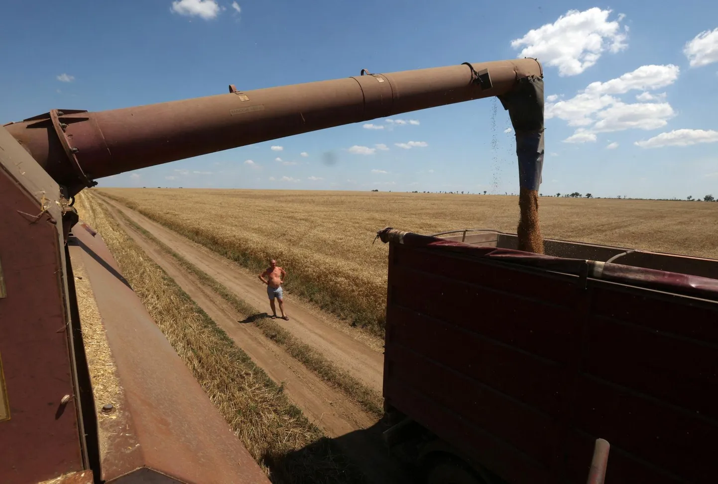 Ukraina põllumees jälgib sel nädalal viljakoristust riigi lõunaosas Mõkolajivi oblastis Novosofijivkas.