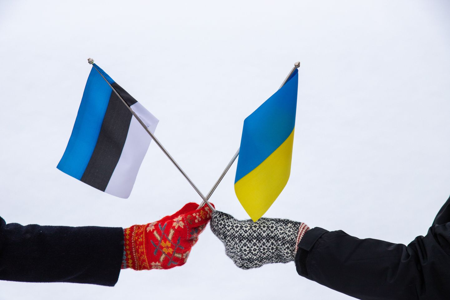 Эстонский и украинский флаги.
