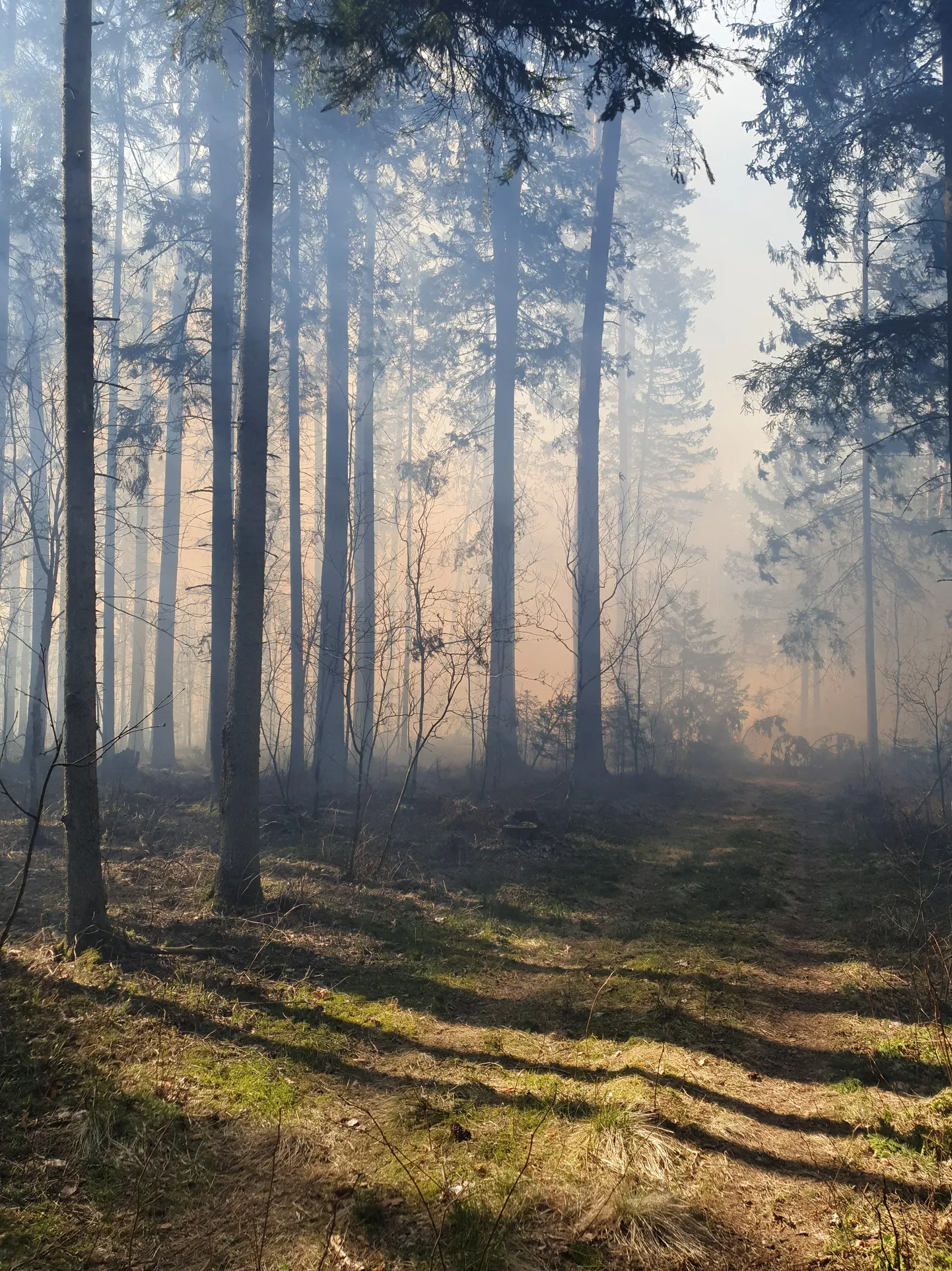 Kastre vallas Tuigo kalmistu lähedal põleb kaheksa hektari suurune maa-ala.