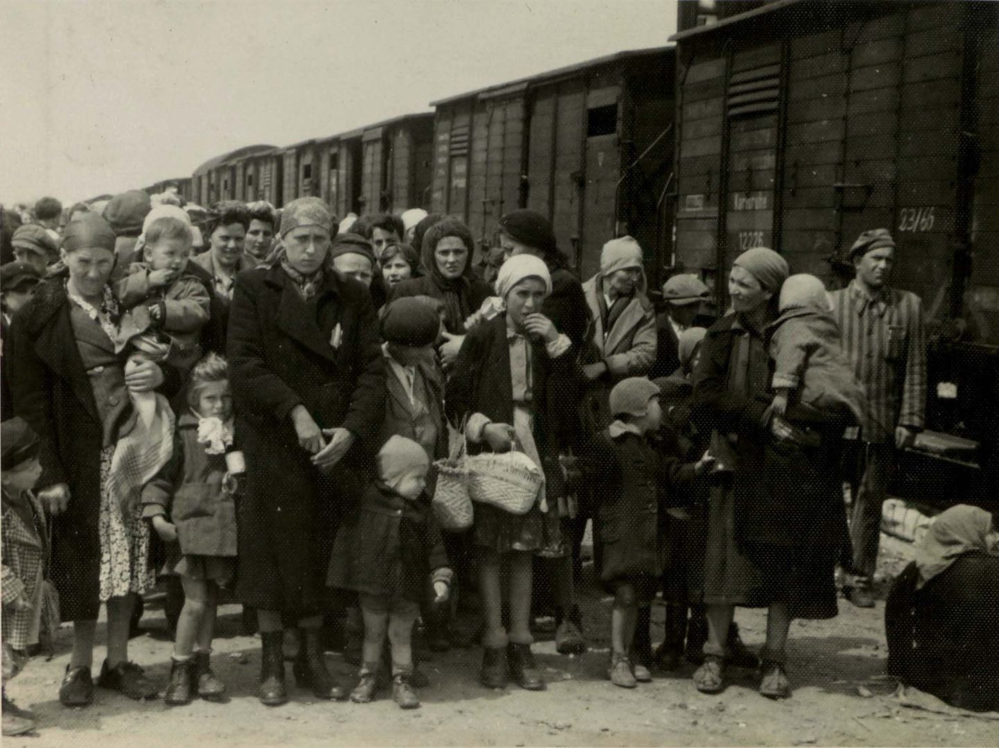 Juudi naiste ja laste transportimine Auschwitzi 1943. aastal