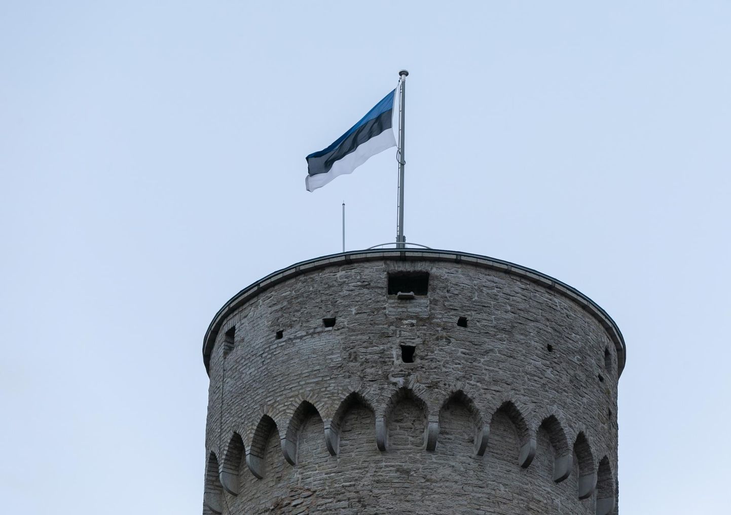 Sinimustvalge lipp on Pika Hermanni tornis lehvinud viimased 35 aastat.