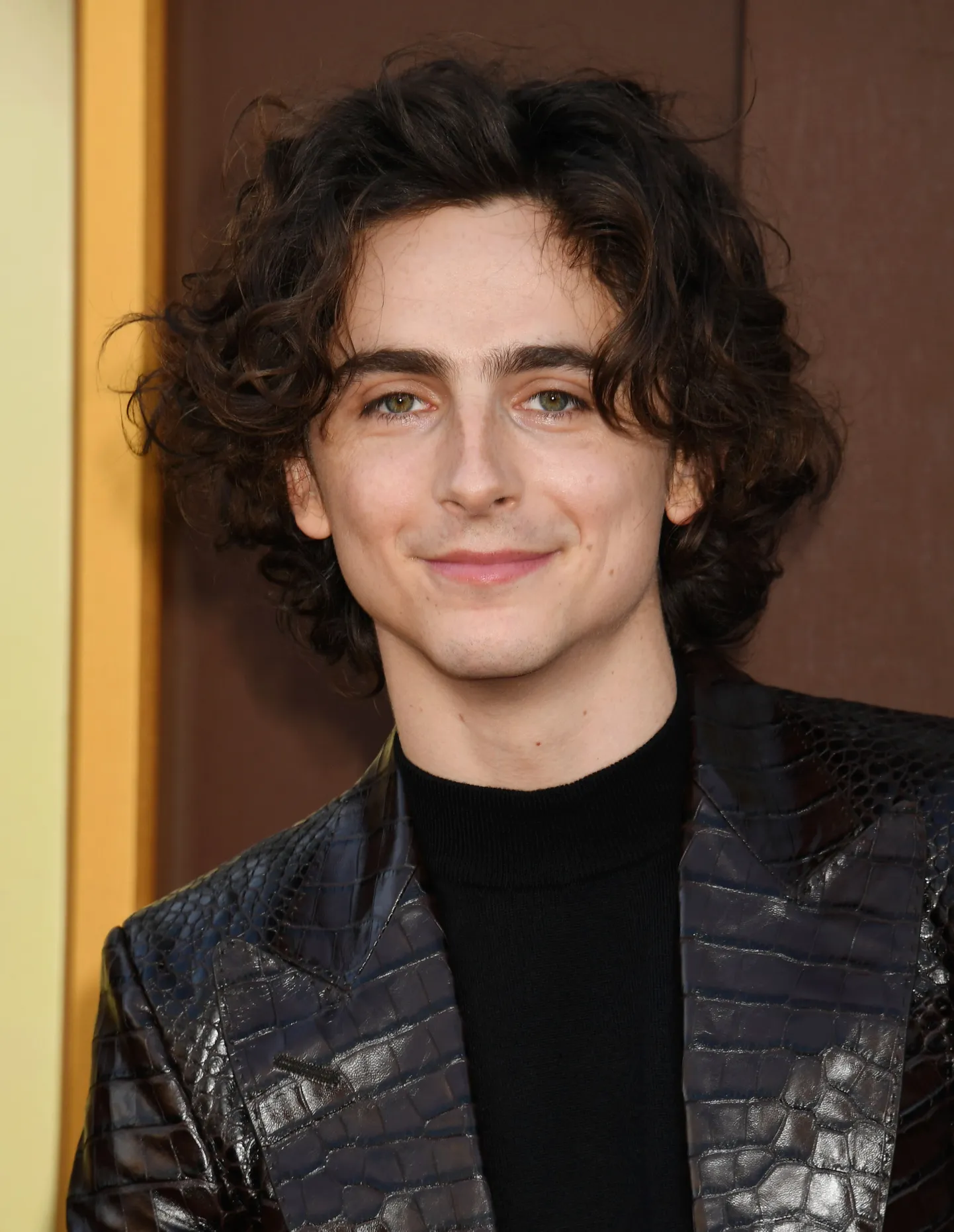 Timothée Chalamet.