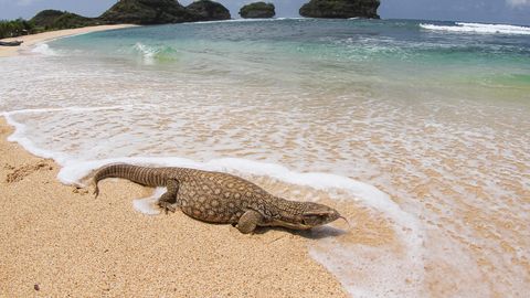 СМЕРТЬ НА ОСТРОВЕ ⟩ Пассажирку круизного судна забыли на экскурсии