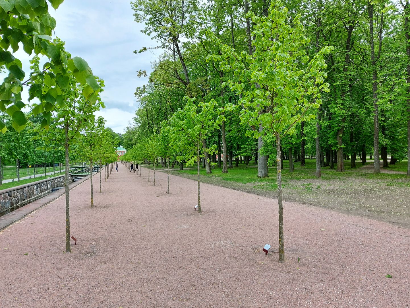 Paremalt esimese puu kõrvale Kadrioru pargis on kinnitatud plaat Vladimir-Georg Karasjov-Orgusaare nimega.