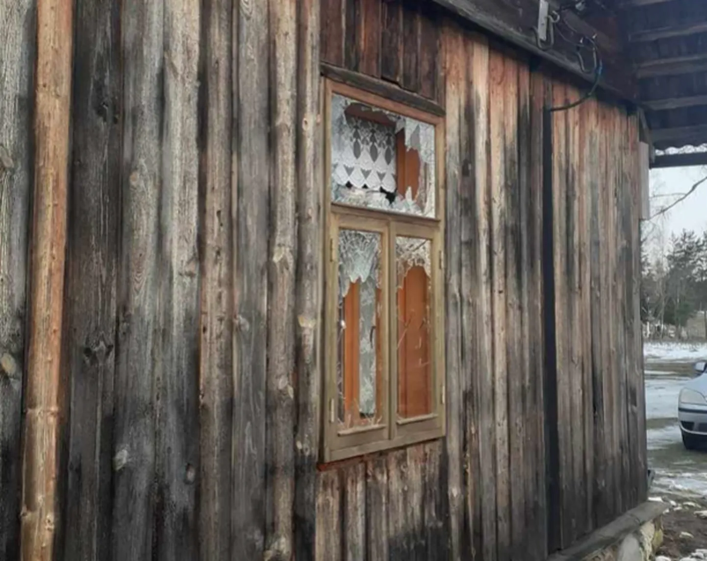 Artikli foto