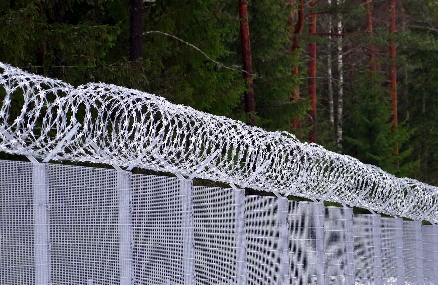 Забор на латвийско-белорусской границе