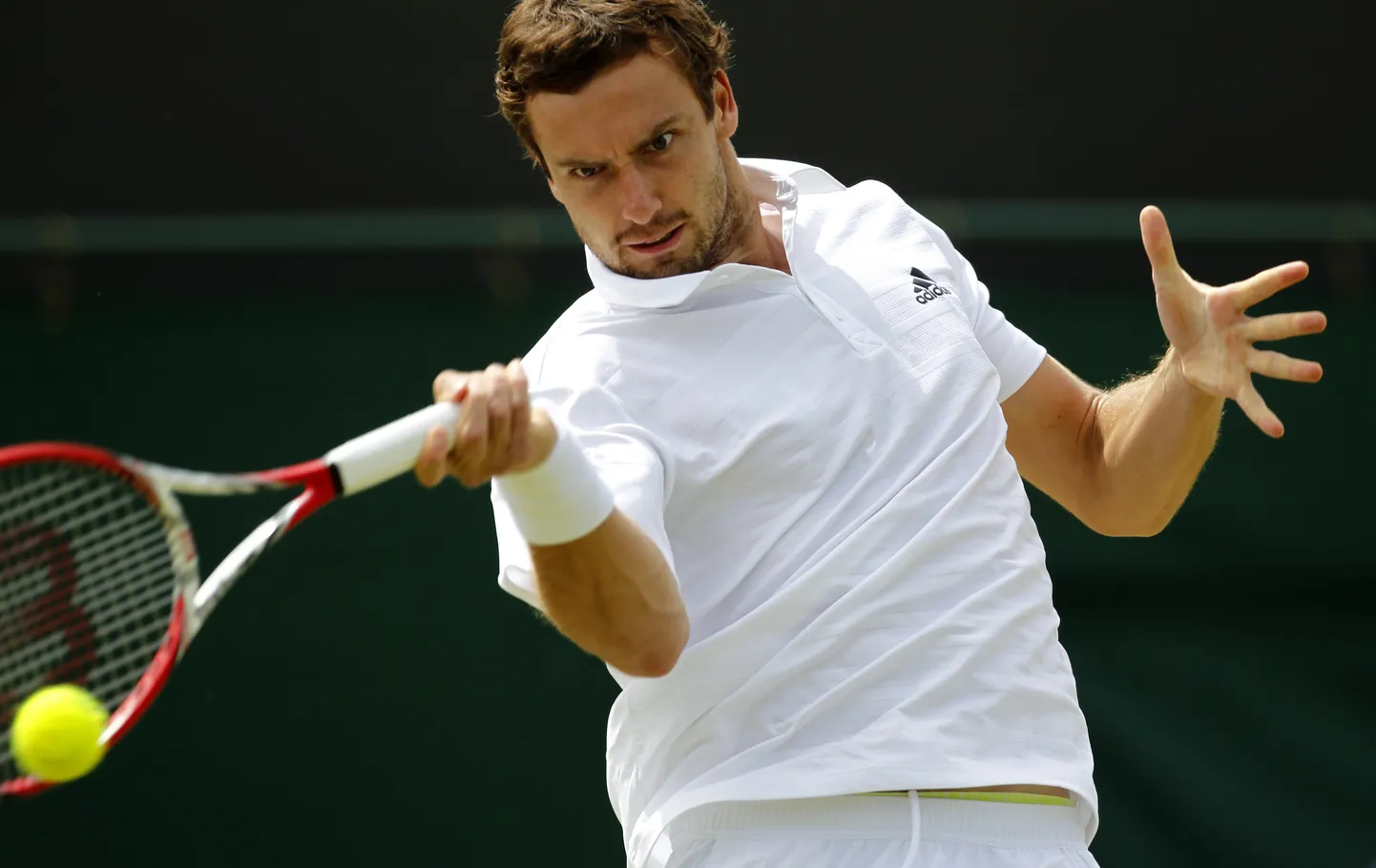 Ernests Gulbis