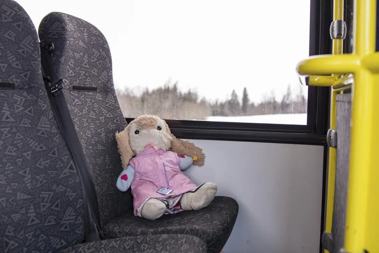 See pikk-kõrv sõidab koos pileti ostnud omanikuga tihti Viljandi ja Kärstna vahet. Kahejalgsed jänesed on tihti aga nii väledad, et kontrolörid neile trahvi teha ei saa.