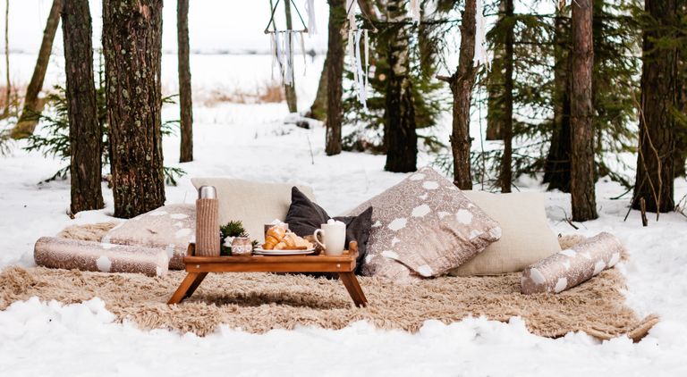 Talv sobib metsas pikniku pidamiseks niisama hästi kui iga muu aastaaeg.