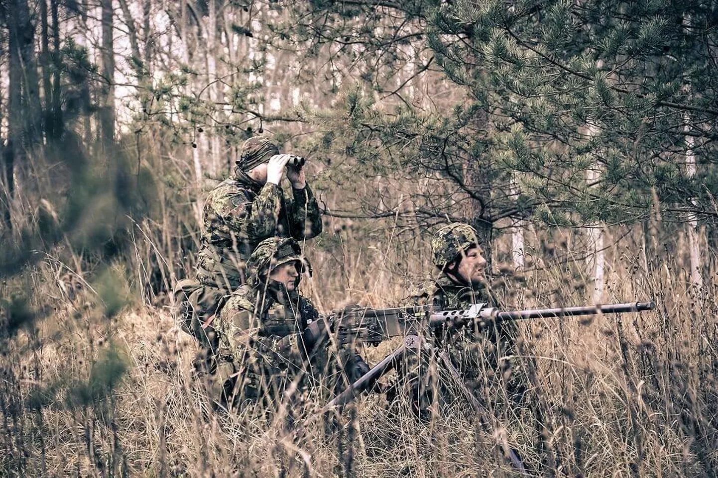 Kaitseliidu Viru maleva liikmed saavad tänavusel Kevadtormil veidi hingetõmbeaega ja ootavad sügisel korraldatavat õppust Kilp.