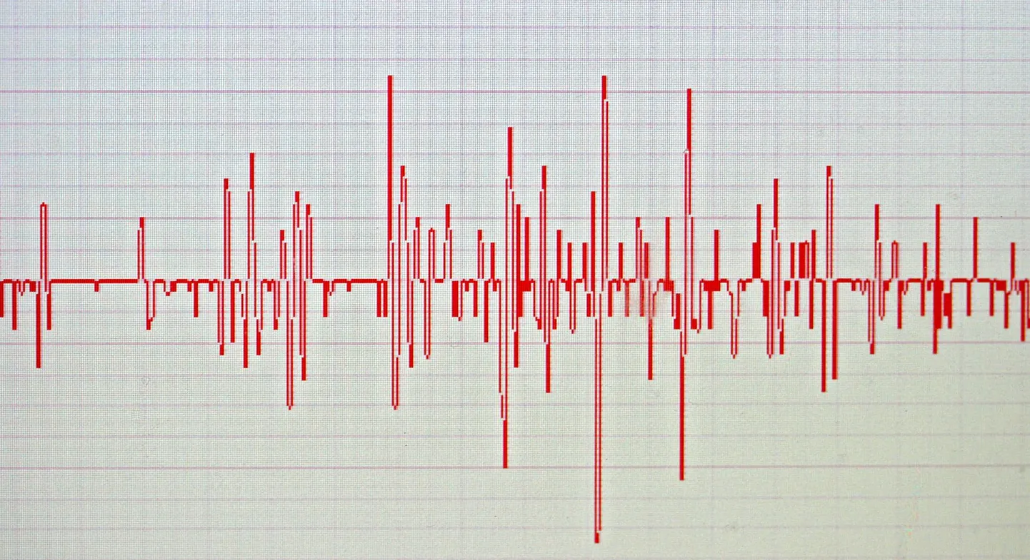 Seismogramm