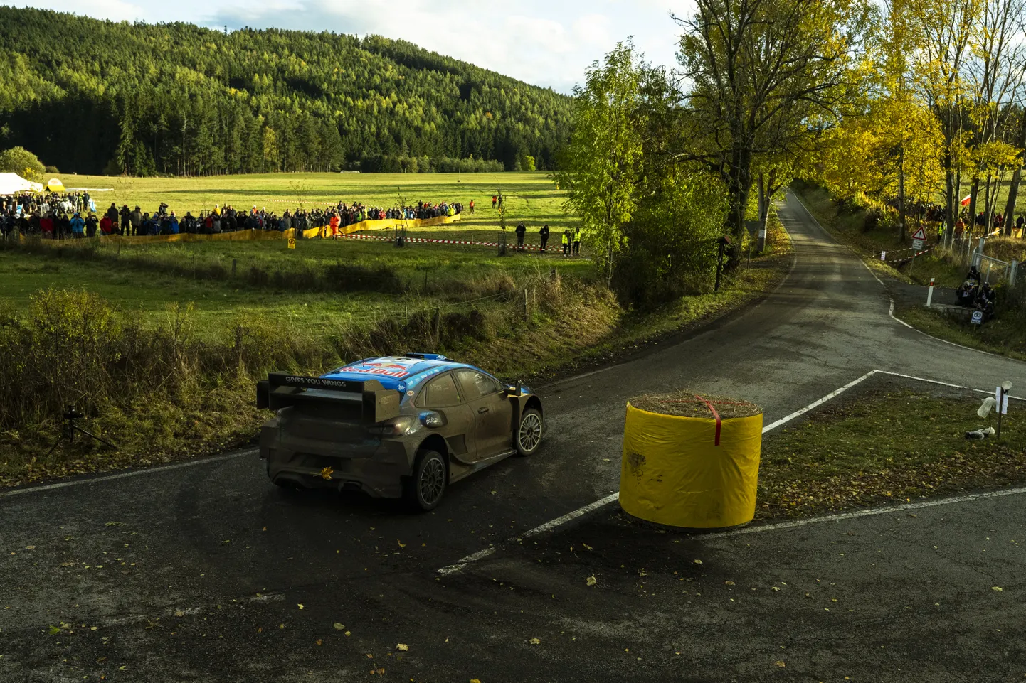 Ott Tänak.