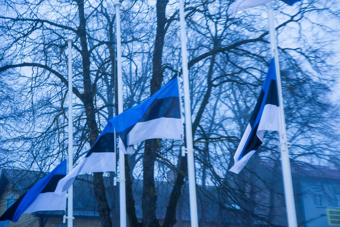 Riigilippude heiskamine.