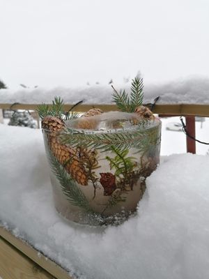 Rõdu servale mahtuva jäälaterna valmistamisel läksid käiku kodu lähedalt metsatukast lume alt leitud oksad ja käbid.
