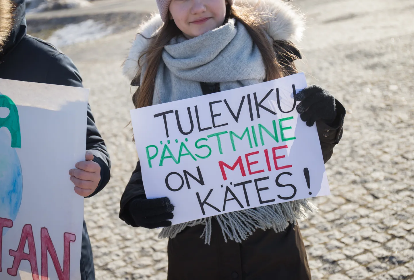 Rakvere Gümnaasiumi noored streikisid Rakvere keskväljakul kliima soojenemise vastu.