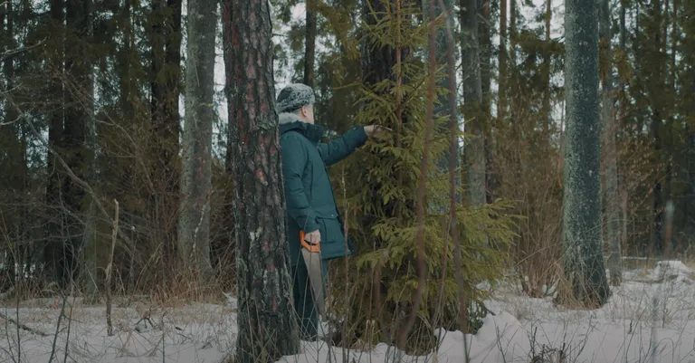 Kaader linnapea jõulutervituse videoklipist.