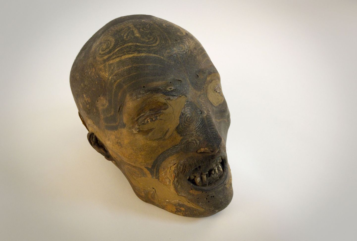 Maoorisõdalase mumifitseeritud pea