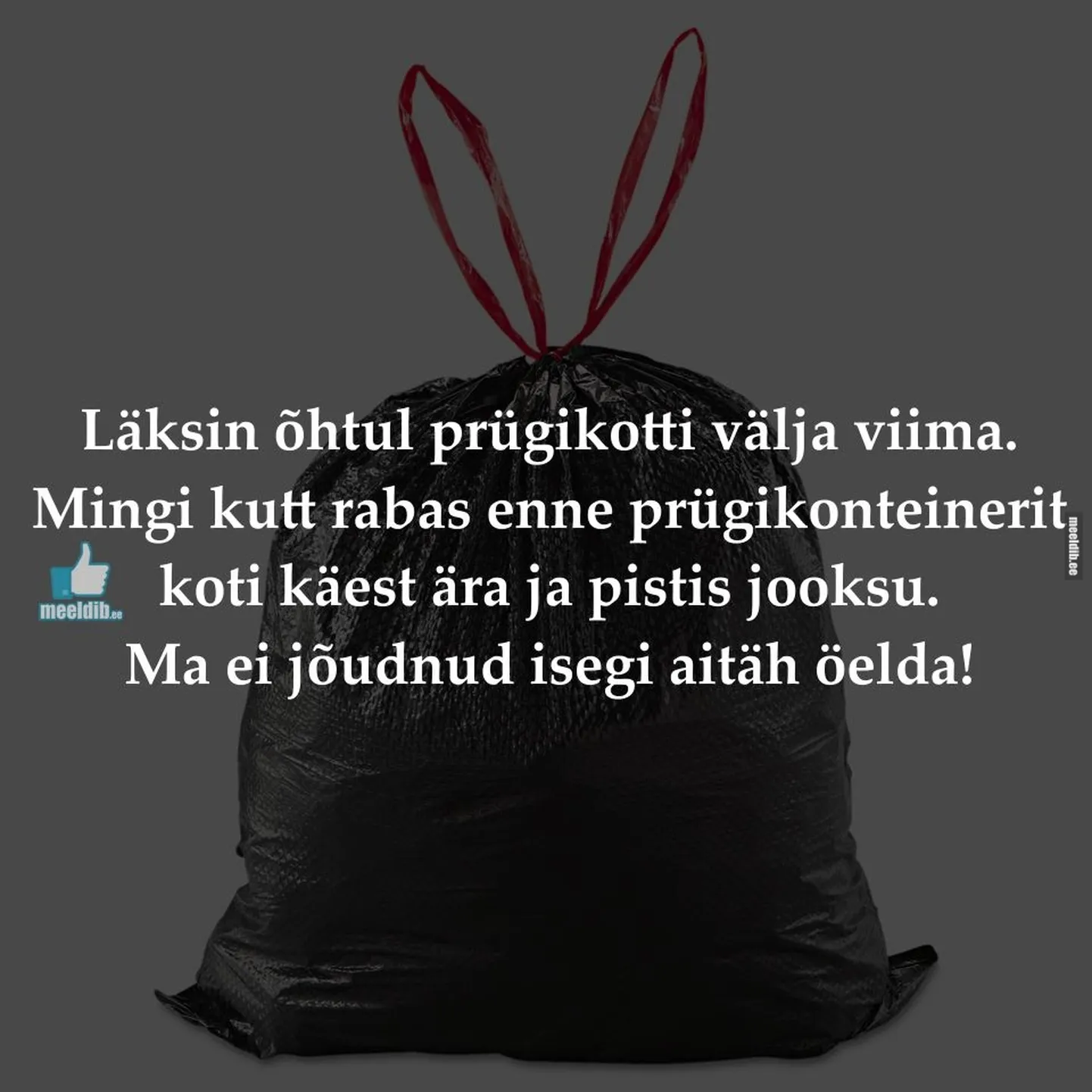 Artikli foto
