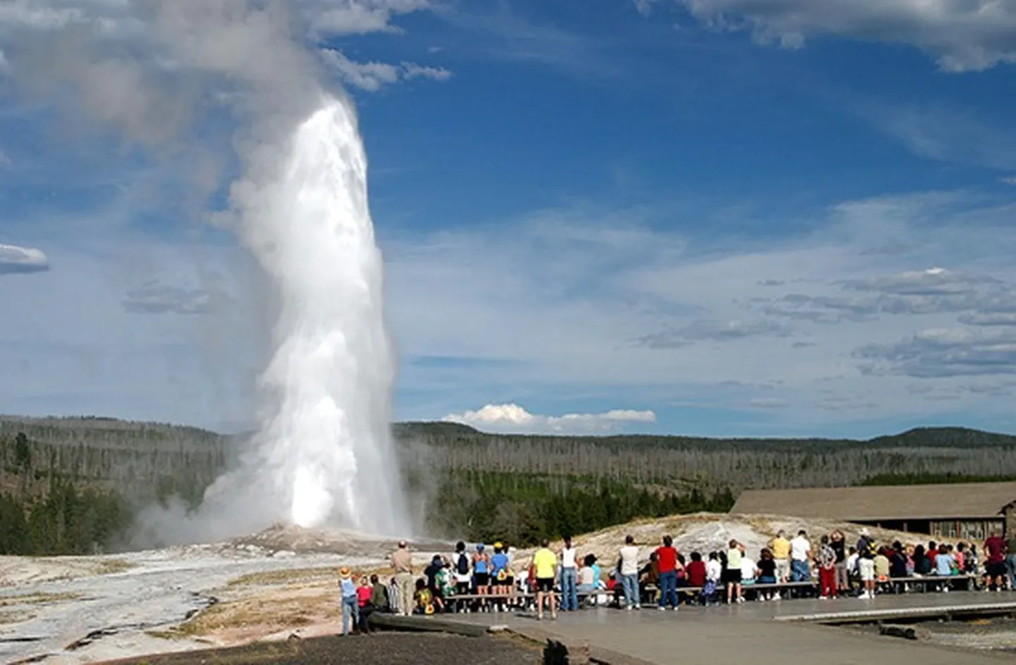 Old Faithful.