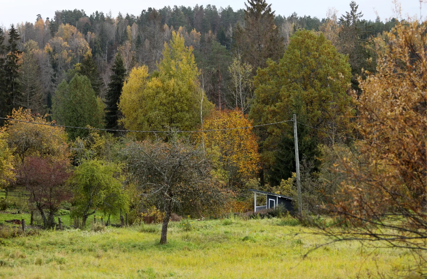 Rudens ainava Līgatnē.