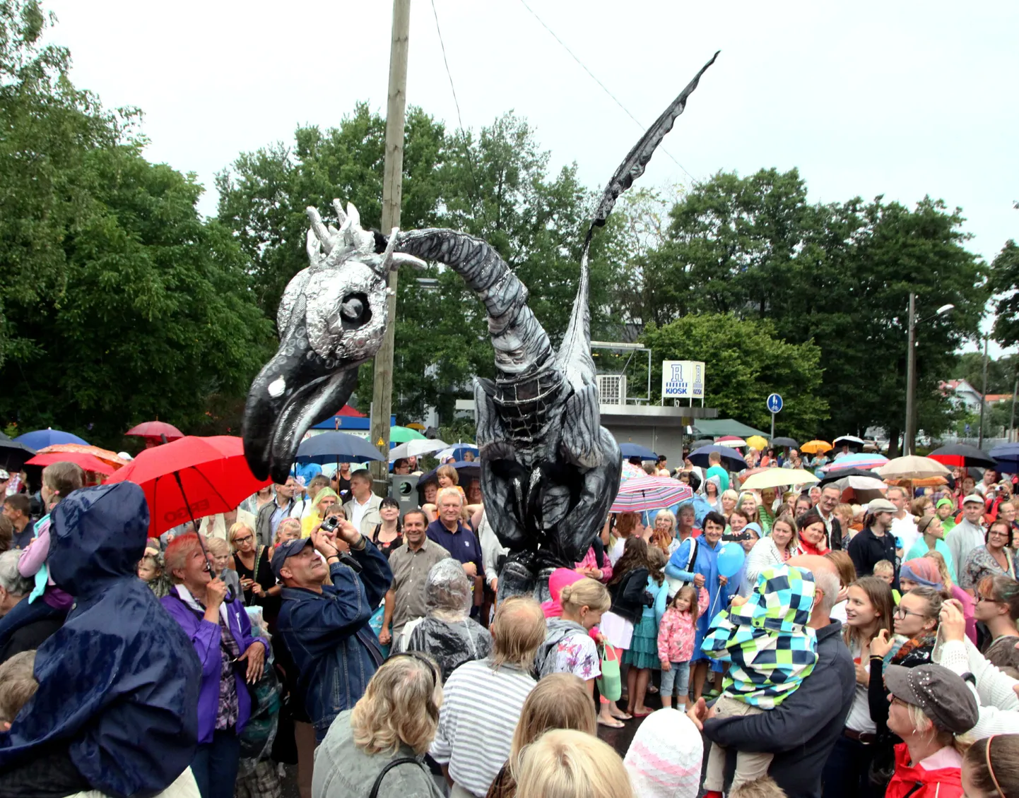 Saurused Pärnu tänavatel, «Augustiunetus» 2013